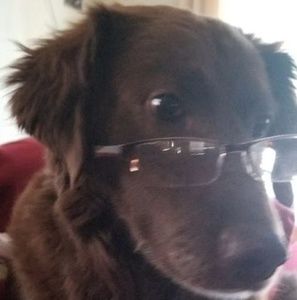 Meet your Posher, Damien